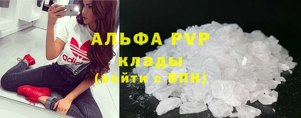 ГАЛЛЮЦИНОГЕННЫЕ ГРИБЫ Гусев