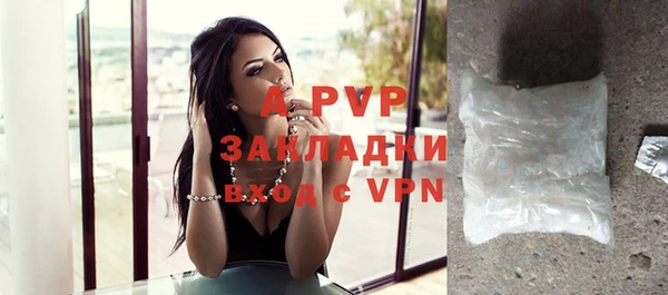 стаф Горнозаводск