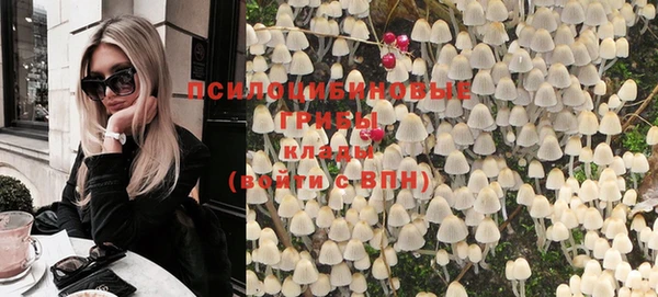 стаф Горнозаводск