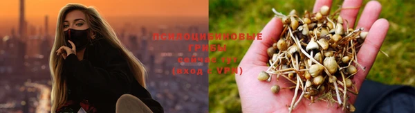 МДПВ Вязьма