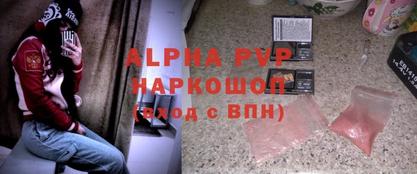 стаф Горнозаводск