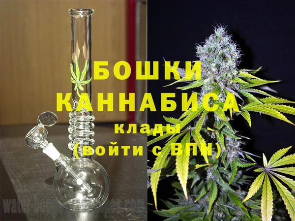 ГАЛЛЮЦИНОГЕННЫЕ ГРИБЫ Гусев