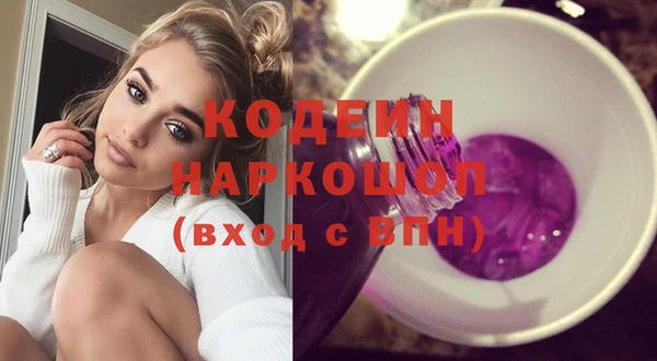 ГАЛЛЮЦИНОГЕННЫЕ ГРИБЫ Гусев